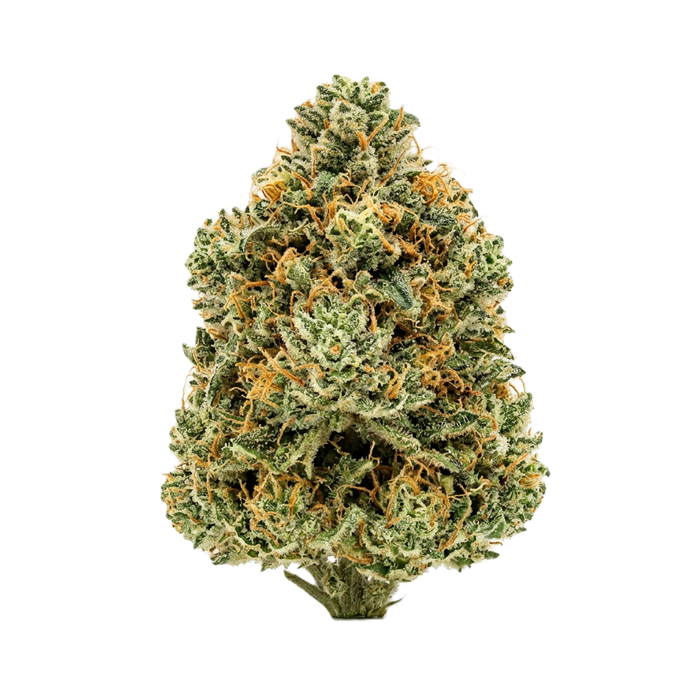 BANANA SMASH — flor de CBD premium · 10,95% CBD · THC <0,2%