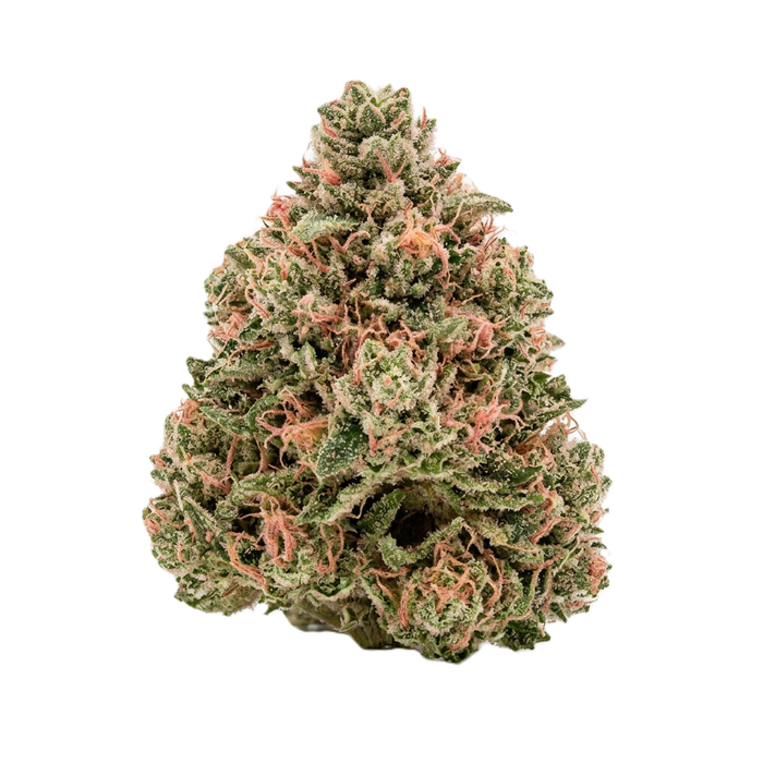 BUBBLE GUM — flor de CBD premium · 11,82% CBD · THC <0,2%